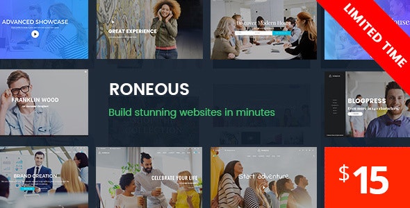 Roneous v2.0.6 – Creative Multi-Purpose WordPress Theme