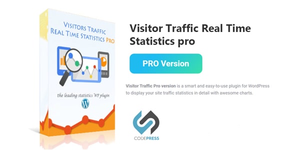 Visitor Traffic Real Time Statistics pro v10.5