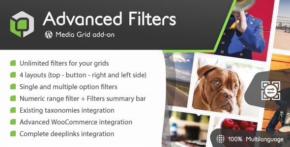 Media Grid – Advanced Filters add-on v1.7.1