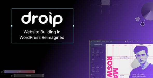 Droip v2.2.3 – The No-code Website Builder for WordPress