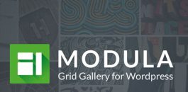 Modula Pro v2.8.21 (+Addons) – Responsive Photo Gallery Plugin for WordPress