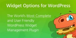 Widget Options – Extended v5.2.3