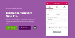Elementor Custom Skin Pro v4.2.1