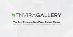 Envira Gallery v1.12.1 (+Addons) – Best Responsive WordPress Gallery Plugin