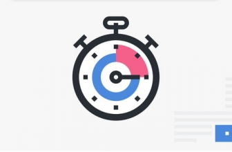 Perfmatters – Lightweight WordPress Performance Plugin
