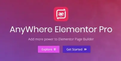 AnyWhere Elementor Pro v2.29.1