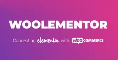 CoDesigner Pro v4.7.6 (Formerly Woolementor) – Lifetime