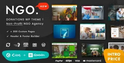 Ngo v3.0 – Charity & Donation WordPress