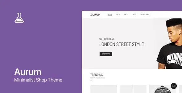 Aurum v4.0.9 – WordPress & WooCommerce Shopping Theme