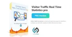 Visitor Traffic Real Time Statistics pro v11.4